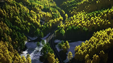 stunning autumn landscape with winding road through vibrant forest
