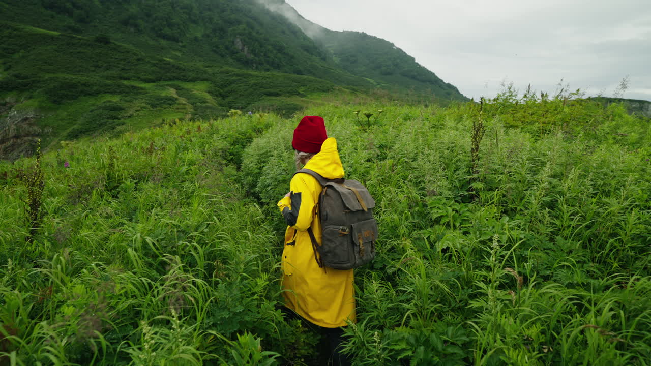 Woman Hiking in Lush Mountainous Terrain