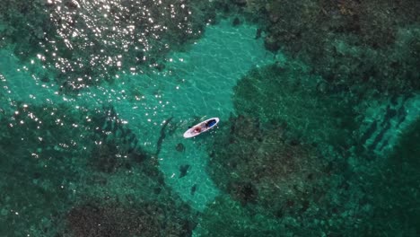 Mädchen-Paddle-Boarding-Mit-Hund-über-Korallenriffen-Des-Karibischen-Ozeans