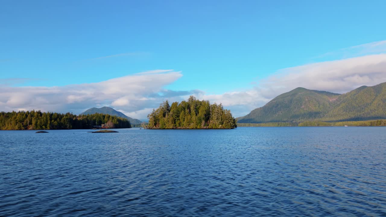 tomada de drone de tofino en la isla de vancouver que muestra colores de otoño, costa escarpada y olas del océano en una vista aérea panorámica.