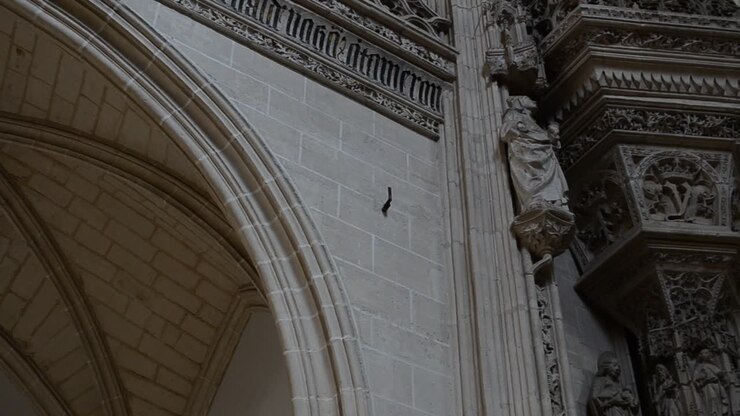 Il Monastero di San Juan de los Reyes a Toledo, Spagna. Il monastero francescano cattolico di Toledo, Spagna, fondato dai Reali Cattolici Isabella I e Ferdinando II alla fine del XV secolo