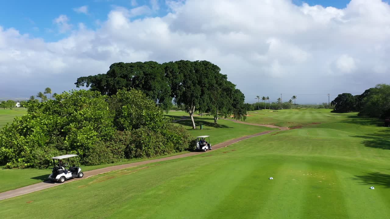 코스 경로-공중 샷-4k를 따라 운전하는 골프 카트