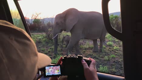 pov: camera monitor view from vehicle, close elephant mom and her baby