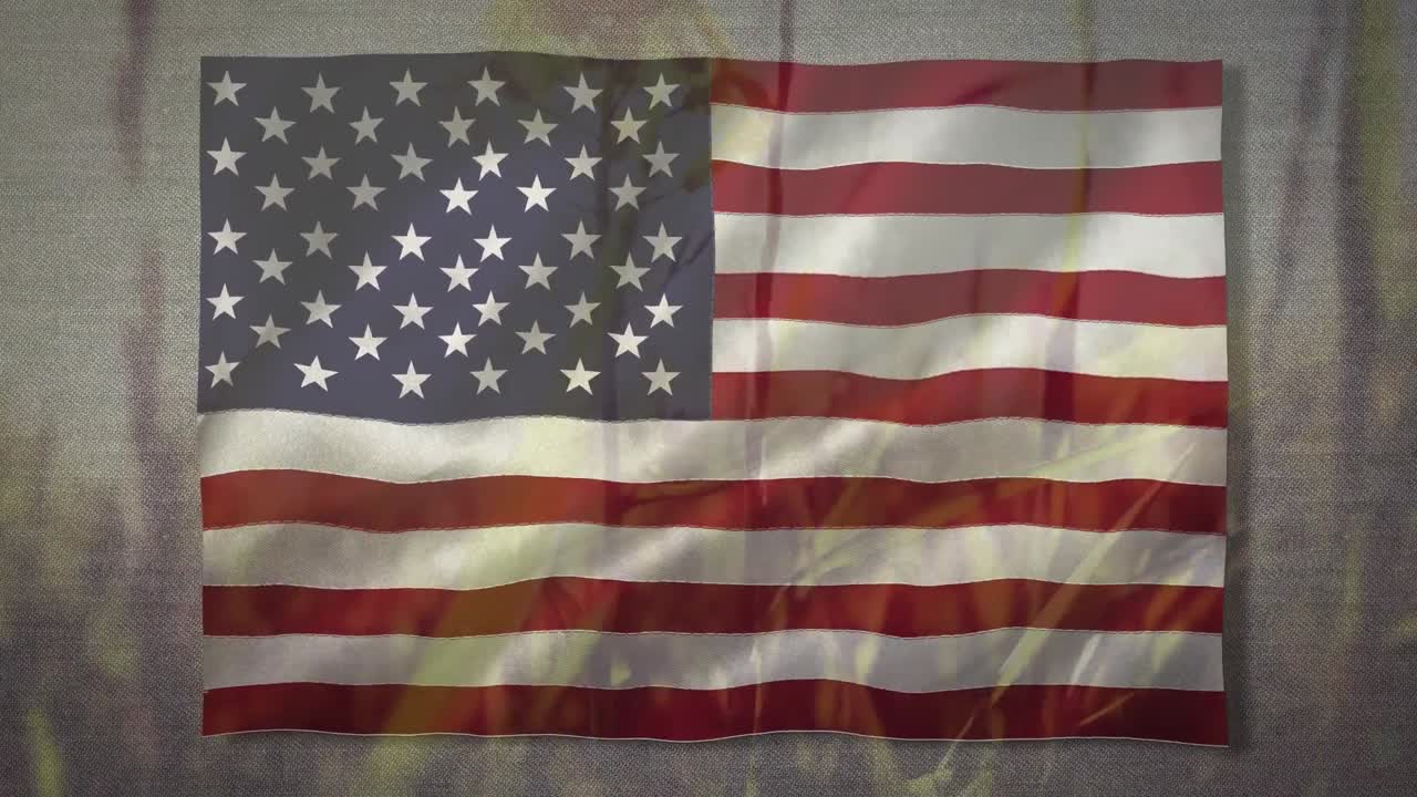 la bandera de los estados unidos ondeando contra la hierba en el fondo