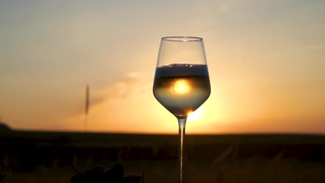 silhouette of a person's hand pouring wine in a glass at sunset