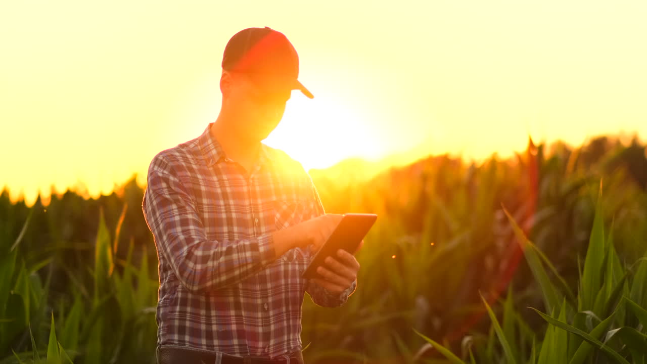 el agricultor lee o analiza un informe en una computadora tablet sobre un campo agrícola con un tono vintage sobre un concepto de agricultura a la luz del sol.