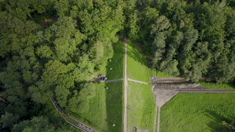 Luftdrohne-Des-Tropischen-Waldes-Mit-Laubbäumen-Und-Pfaden-Im-Sommer-In-Der-Nähe-Von-Witomino,-Polen