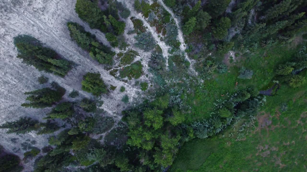 hoodoos con alces en la noche.