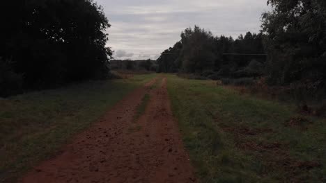 Rote-Schotterstraße-überfliegen-Mit-Wald-Auf-Beiden-Seiten