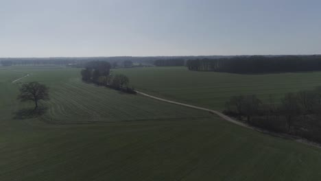 beautiful aerial drone shot of agriculture fields with backroad and trees