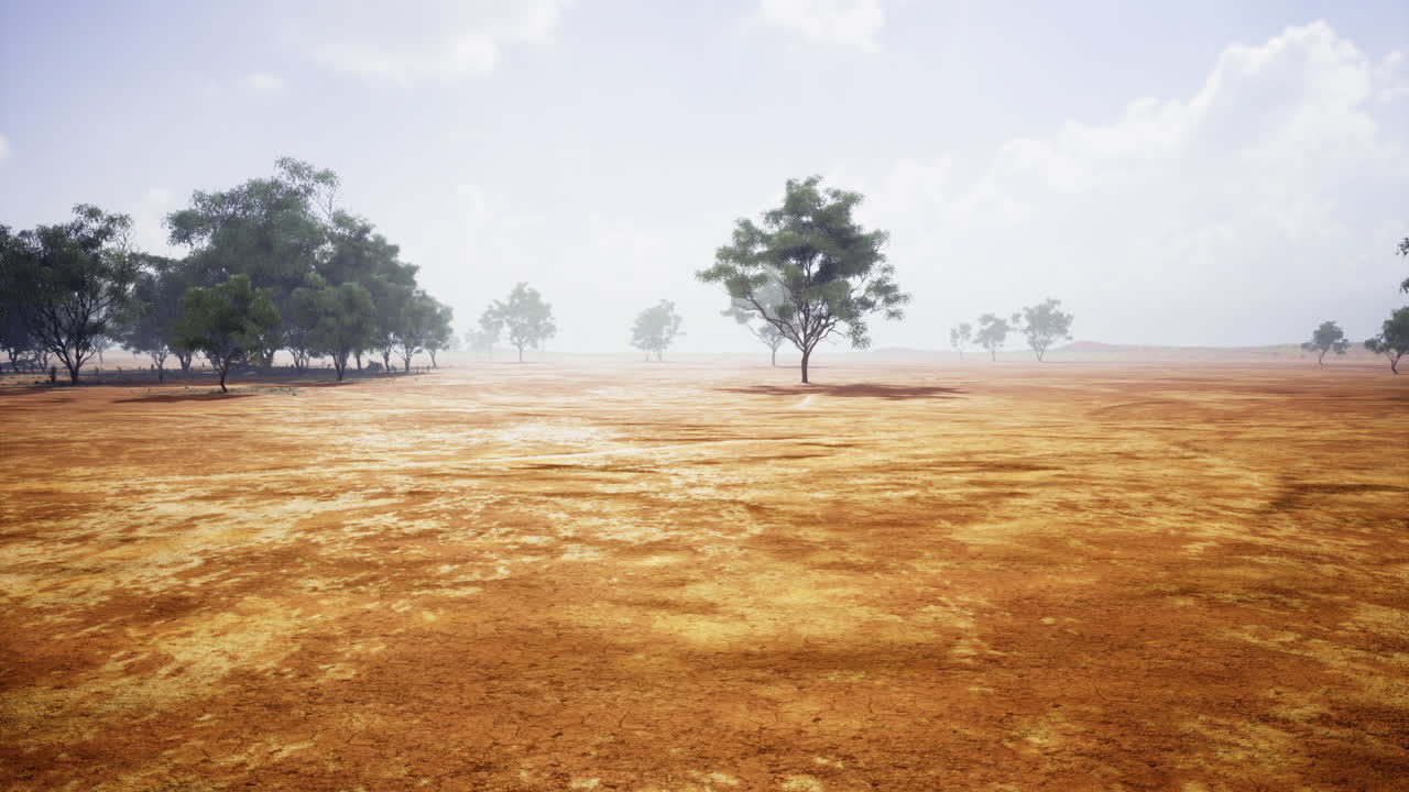 Dry landscape with sparse trees under cloudy sky during early afternoon