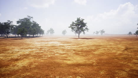 dry landscape with sparse trees under cloudy sky during early afternoon