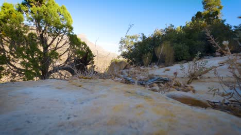 Windy Nevada day time lapse