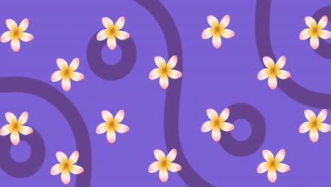 Animation-of-rotating-pink-and-yellow-flowers-with-purple-curves-and-circles-on-purple-background