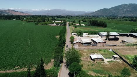 imágenes de drones de 60 fps de un bonito paisaje del valle chileno lleno de viñedos