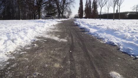 Park-alley-covered-in-snow-tilt-shot