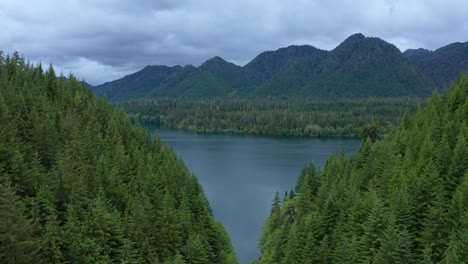 Aerial-moving-through-forest-revealing-scenic-lake-in-Olympic-National-Forest