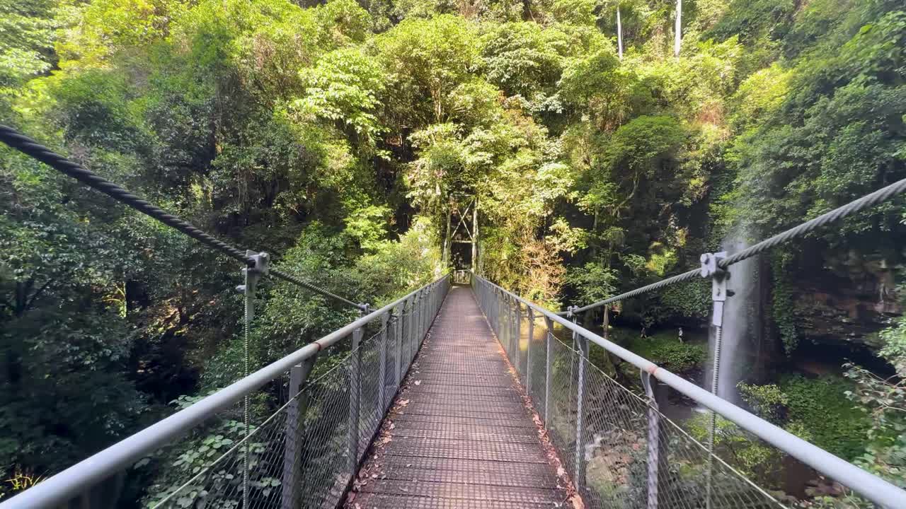 Steady forward camera movement over suspension bridge, dense green rainforest, natural daylight, tranquil atmosphere