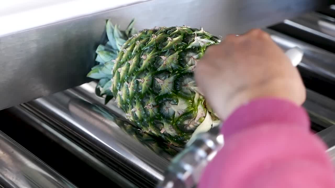 piña en cinta transportadora filmada en gh5 con 12-35 f2