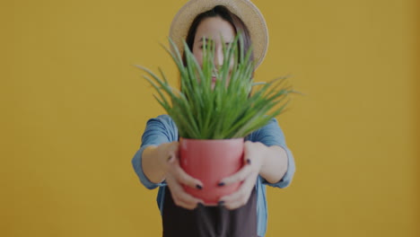 mujer sosteniendo una planta en maceta