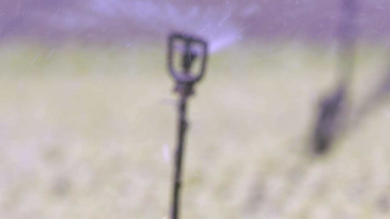 revelador, rociador diseñado para distribuir el agua uniformemente sobre el área de la planta