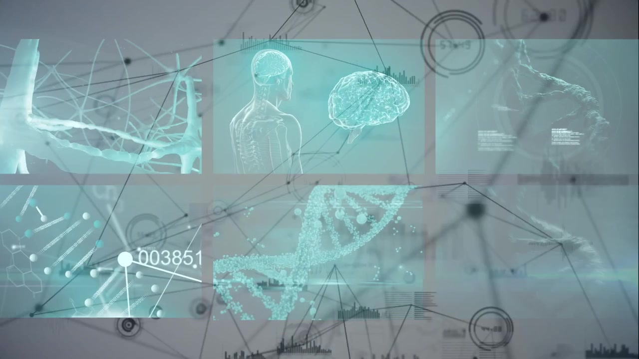 Animation of network of connections over data processing