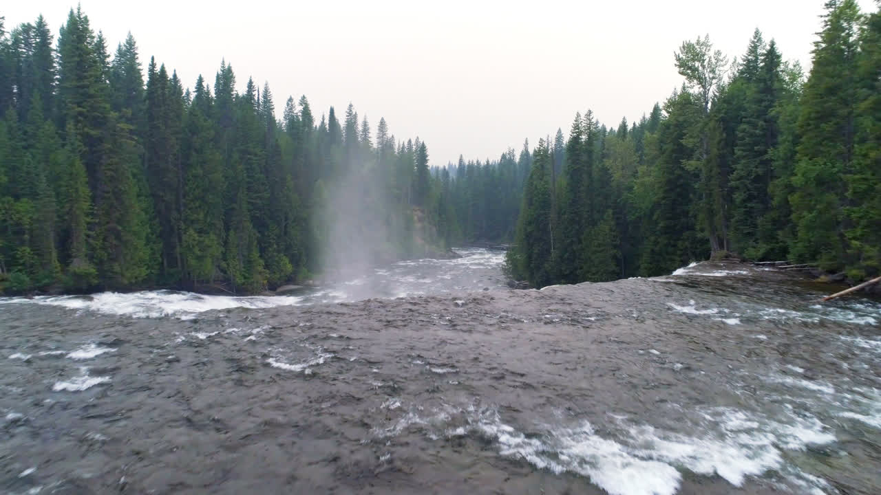 푸른 숲을 가로질러 흐르는 강 4k