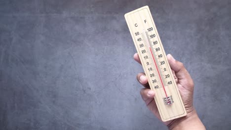 hand holding a wooden thermometer