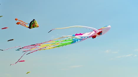 Pair-of-big-colourful-kites-waving-bu-the-wind