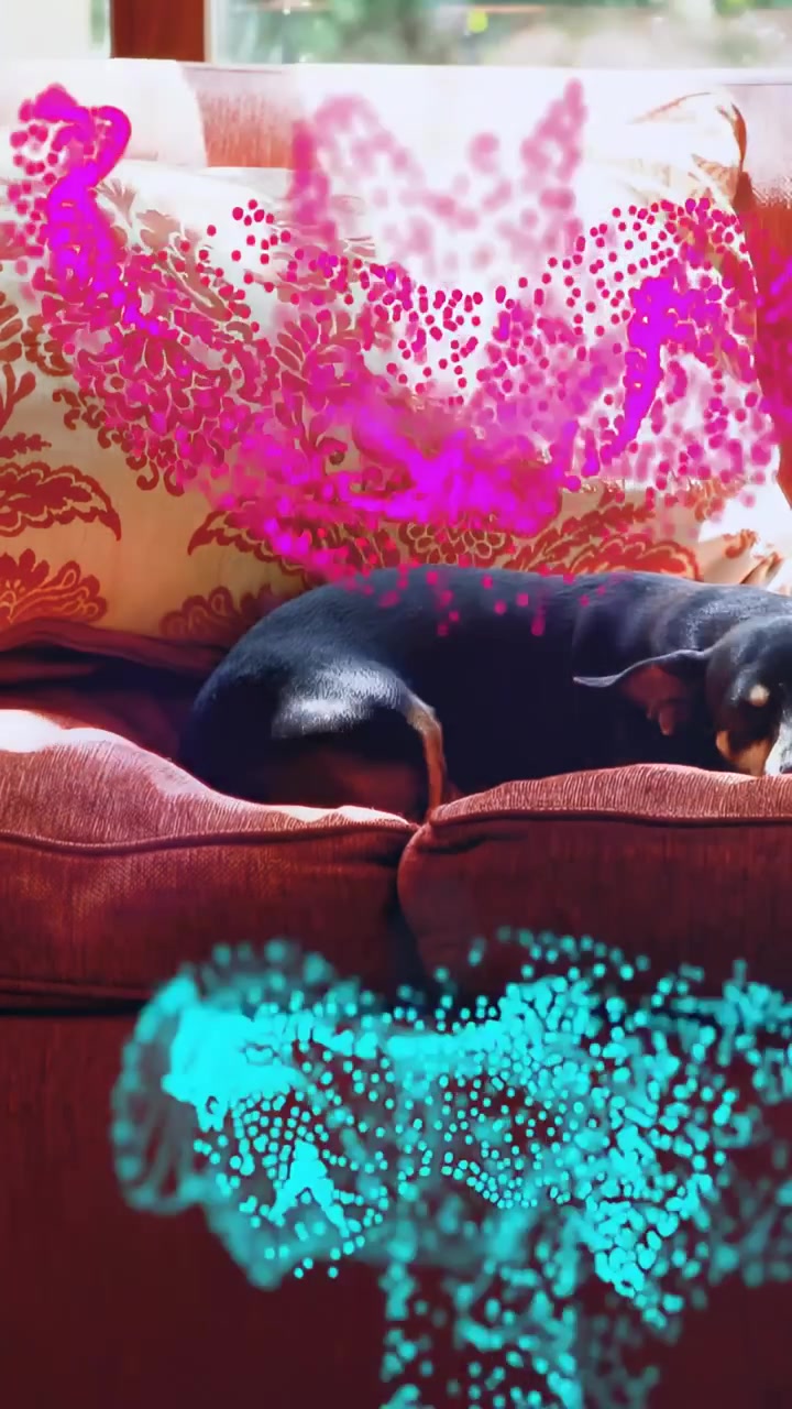 Video verticale: Cane nero accoccolato su un divano rosso, con punti ciano-magenta scintillanti e bagliori per la tecnologia.