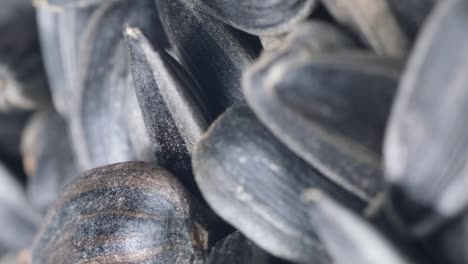 sunflower seeds rotate in a circular motion macro video sunflower seeds rotate in a circular motion macro video