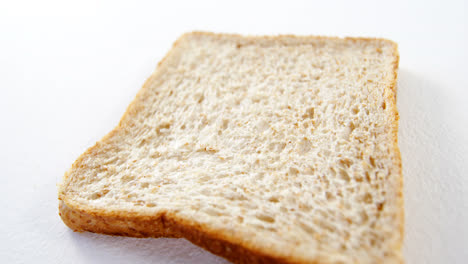 single bread slice on white background