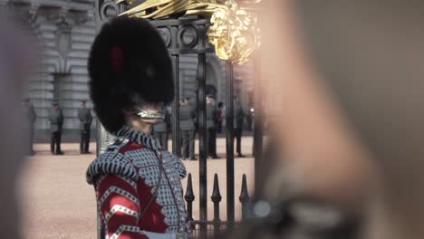 changing of the guard at buckingham palace