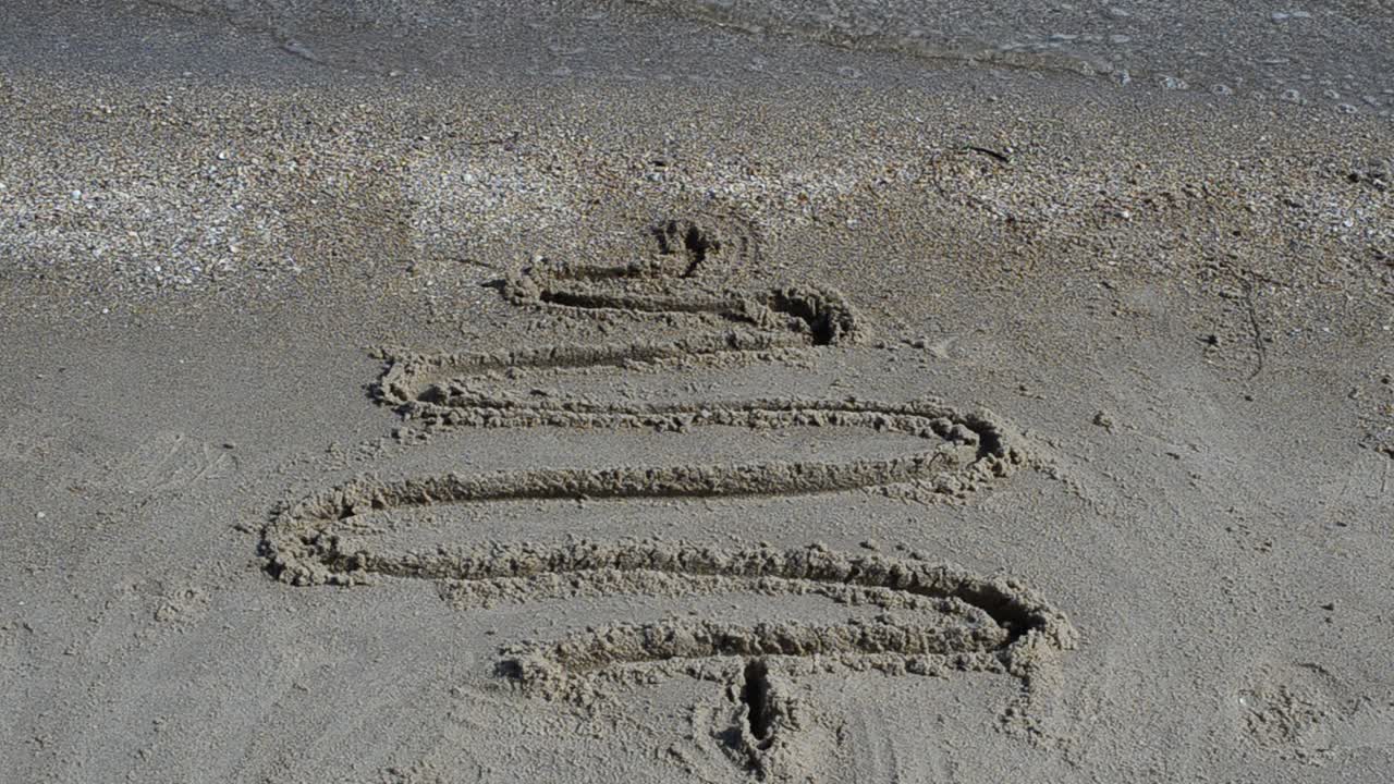 Gambar pohon cemara di pasir. Pengambilan gambar di pantai