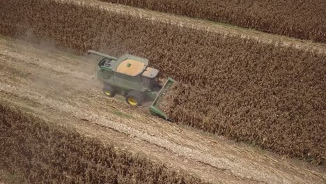 combine harvester working in cornfield