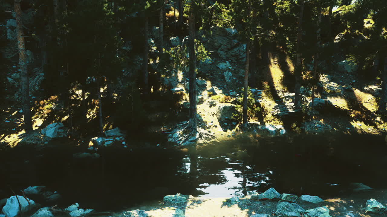 Sunlight dances on water among trees in a serene mountain landscape