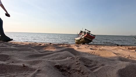 people walking on a serene sandy beach