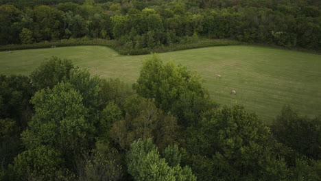 aerial view of forest and agricultural land during harvest season near durham in washington county, arkansas, united states