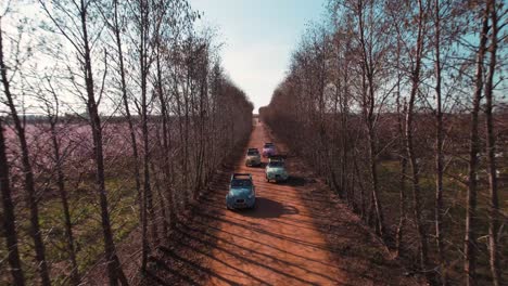 the cars are driving on a rural road, with trees lining the sides