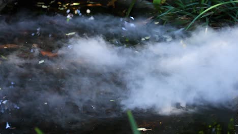 white smoke spreading over water in zoo