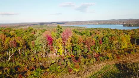 aerial over vast forests of fall foliage and color in maine or new england