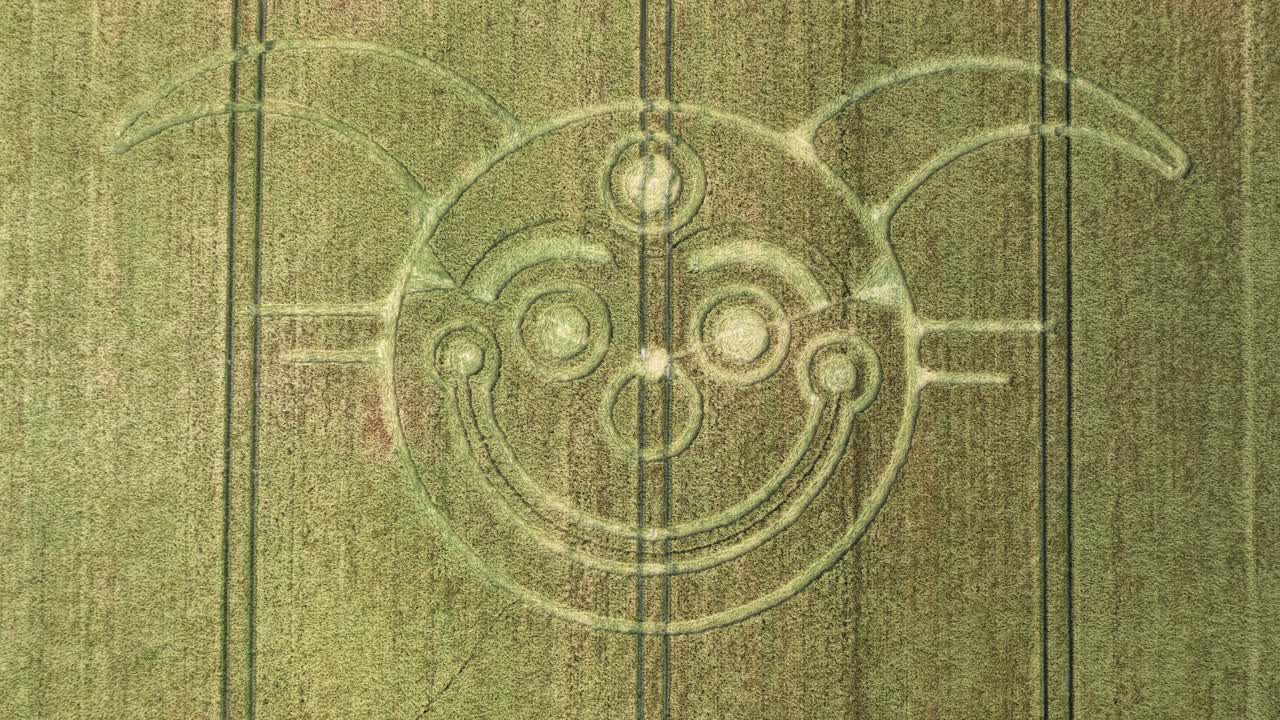 Descending aerial view over smiling golden jester face crop circle wheat harvest