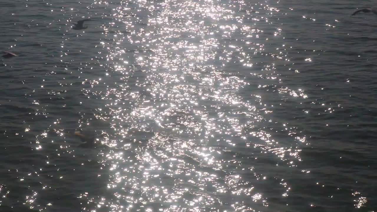 gaviotas volando sobre el agua en un fuerte reflejo de la luz del sol