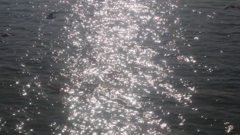 Gaviotas-Volando-Sobre-El-Agua-En-Un-Fuerte-Reflejo-De-La-Luz-Del-Sol