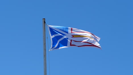 la bandera de terranova y labrador volando contra el cielo azul