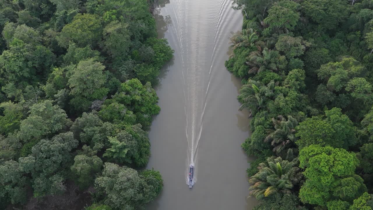Tomada de drone aérea estática com vista de cima para baixo de um barco se movendo por um rio estreito na selva na Costa Rica. Uma densa floresta tropical margeia ambos os lados enquanto o barco atravessa o enquadramento.