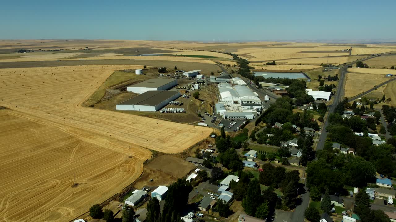 US, OR, Weston, 2025-08-20 - Drone view of Smith Frozen Foods, with the town, and surrounded by farmlands, in Summer