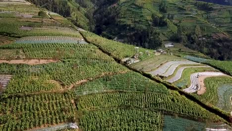 scenic aerial view of farms at slope of mount sumbing volcano magelang indonesia