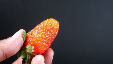 a single, fresh, red strawberry held in a hand.