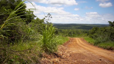 Rural-dirt-road-in-Misiones,-Argentina,-on-a-beautiful-sunny-day